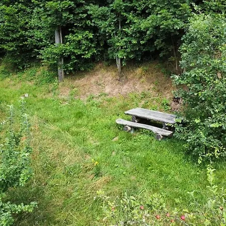 Des Fruitiers Ferienhaus Orbey