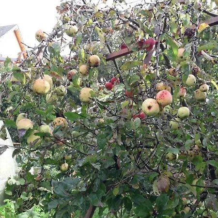 Prázdninový dům Des Fruitiers *