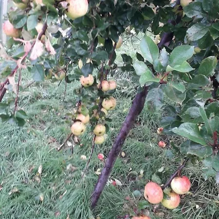 Des Fruitiers Prázdninový dům *