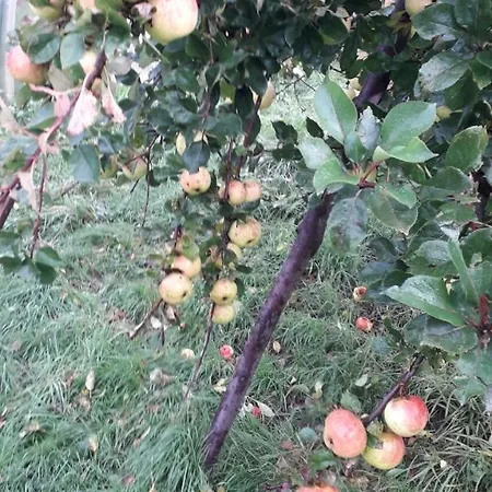 Des Fruitiers Holiday home *