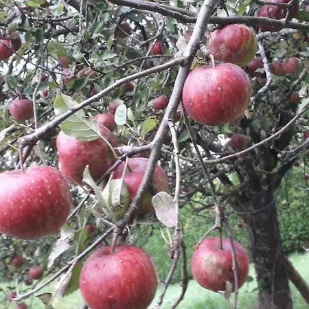 Prázdninový dům Des Fruitiers *
